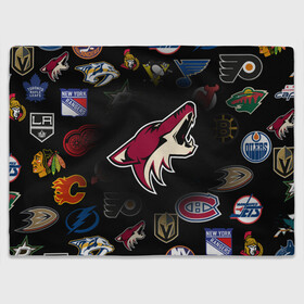 Плед 3D с принтом Arizona Coyotes | NHL (Z) в Курске, 100% полиэстер | закругленные углы, все края обработаны. Ткань не мнется и не растягивается | Тематика изображения на принте: anaheim ducks | arizona coyotes | boston bruins | buffalo sabres | calgary flames | canadiens de montreal | carolina hurricanes | chicago blackhawks | colorado avalanche | columbus blue jackets | dallas stars | detroit red wings | edmonton oil | hockey | 