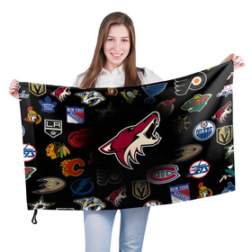 Флаг 3D с принтом Arizona Coyotes | NHL (Z) в Курске, 100% полиэстер | плотность ткани — 95 г/м2, размер — 67 х 109 см. Принт наносится с одной стороны | anaheim ducks | arizona coyotes | boston bruins | buffalo sabres | calgary flames | canadiens de montreal | carolina hurricanes | chicago blackhawks | colorado avalanche | columbus blue jackets | dallas stars | detroit red wings | edmonton oil | hockey | 