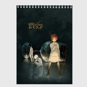 Скетчбук с принтом The Promised Neverland Logo в Курске, 100% бумага
 | 48 листов, плотность листов — 100 г/м2, плотность картонной обложки — 250 г/м2. Листы скреплены сверху удобной пружинной спиралью | Тематика изображения на принте: anime | emma | mango | the promised neverland | yakusoku no neverland | аниме | манга | обещанная страна грёз | обещанный неверленд