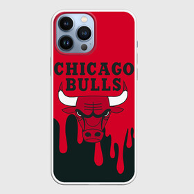 Чехол для iPhone 13 Pro Max с принтом Chicago Bulls. в Курске,  |  | Тематика изображения на принте: 23 | air jordan | bulls | chicago bulls | jordan | michael jordan | nba | paris saint germain | psg | red | sport | быки | джордан | майкл джордан | псж | спорт | чикаго буллс