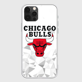 Чехол для iPhone 12 Pro Max с принтом CHICAGO BULLS в Курске, Силикон |  | bulls | chicago | chicago bulls | nba | red bulls | usa | америка | быки | нба | сша | чикаго буллс