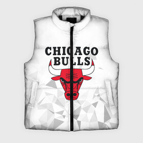 Мужской жилет утепленный 3D с принтом CHICAGO BULLS в Курске,  |  | bulls | chicago | chicago bulls | nba | red bulls | usa | америка | быки | нба | сша | чикаго буллс