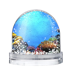Снежный шар с принтом Подводный мир в Курске, Пластик | Изображение внутри шара печатается на глянцевой фотобумаге с двух сторон | аква | аквариум | актинии | вода | море | морские | морские звезды | морской | океан | под водой | подводный мир | пузырьки | рыба | рыба клоун | рыбы