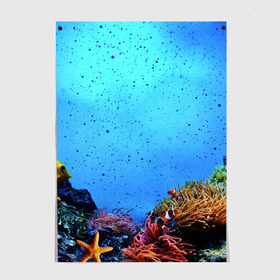 Постер с принтом Подводный мир в Курске, 100% бумага
 | бумага, плотность 150 мг. Матовая, но за счет высокого коэффициента гладкости имеет небольшой блеск и дает на свету блики, но в отличии от глянцевой бумаги не покрыта лаком | Тематика изображения на принте: аква | аквариум | актинии | вода | море | морские | морские звезды | морской | океан | под водой | подводный мир | пузырьки | рыба | рыба клоун | рыбы