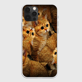 Чехол для iPhone 12 Pro Max с принтом КОТЯТУШКИ в Курске, Силикон |  | Тематика изображения на принте: cat | взгляд | кот | кот хипстер | котёнок | котятки | котятушки | кошечки | кошка | мордочка