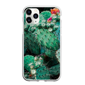 Чехол для iPhone 11 Pro Max матовый с принтом кактусы с цветами реализм в Курске, Силикон |  | бутоны | иголки | кактус | кактусы | комнатные растения | лето | реализм | суккуленты | тропики | узор | цветки | цветы | экзотика