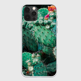 Чехол для iPhone 12 Pro Max с принтом кактусы с цветами реализм в Курске, Силикон |  | бутоны | иголки | кактус | кактусы | комнатные растения | лето | реализм | суккуленты | тропики | узор | цветки | цветы | экзотика
