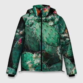 Мужская зимняя куртка 3D с принтом кактусы с цветами реализм в Курске, верх — 100% полиэстер; подкладка — 100% полиэстер; утеплитель — 100% полиэстер | длина ниже бедра, свободный силуэт Оверсайз. Есть воротник-стойка, отстегивающийся капюшон и ветрозащитная планка. 

Боковые карманы с листочкой на кнопках и внутренний карман на молнии. | бутоны | иголки | кактус | кактусы | комнатные растения | лето | реализм | суккуленты | тропики | узор | цветки | цветы | экзотика