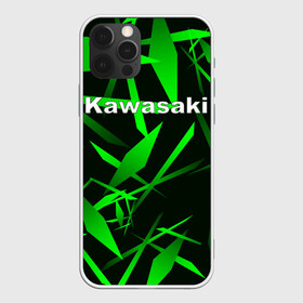 Чехол для iPhone 12 Pro с принтом Kawasaki в Курске, силикон | область печати: задняя сторона чехла, без боковых панелей | kawasaki | moto | дорога | кавасаки | машина | мотокросс | мотоцикл | мотоциклы