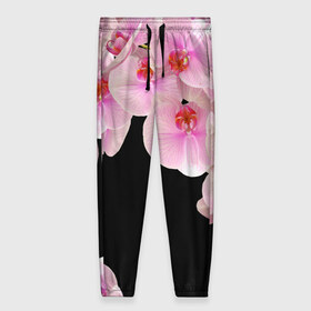 Женские брюки 3D с принтом Орхидеи в ночи в Курске, полиэстер 100% | прямой крой, два кармана без застежек по бокам, с мягкой трикотажной резинкой на поясе и по низу штанин. В поясе для дополнительного комфорта — широкие завязки | азия | бабочки | бутоны | ветки | девушкам | джунгли | женщинам | лепестки | летний | лето | листья | любовь | март | орхидеи | орхидея | подарок | природа | растения | розовыецветы | сад | тропика
