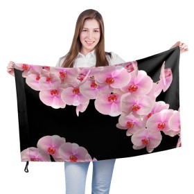 Флаг 3D с принтом Орхидеи в ночи в Курске, 100% полиэстер | плотность ткани — 95 г/м2, размер — 67 х 109 см. Принт наносится с одной стороны | азия | бабочки | бутоны | ветки | девушкам | джунгли | женщинам | лепестки | летний | лето | листья | любовь | март | орхидеи | орхидея | подарок | природа | растения | розовыецветы | сад | тропика