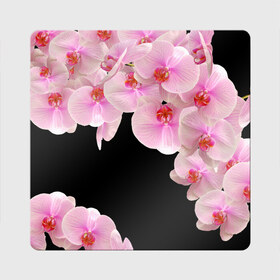 Магнит виниловый Квадрат с принтом Орхидеи в ночи в Курске, полимерный материал с магнитным слоем | размер 9*9 см, закругленные углы | Тематика изображения на принте: азия | бабочки | бутоны | ветки | девушкам | джунгли | женщинам | лепестки | летний | лето | листья | любовь | март | орхидеи | орхидея | подарок | природа | растения | розовыецветы | сад | тропика