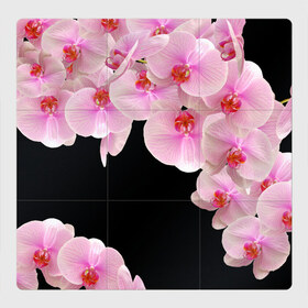 Магнитный плакат 3Х3 с принтом Орхидеи в ночи в Курске, Полимерный материал с магнитным слоем | 9 деталей размером 9*9 см | Тематика изображения на принте: азия | бабочки | бутоны | ветки | девушкам | джунгли | женщинам | лепестки | летний | лето | листья | любовь | март | орхидеи | орхидея | подарок | природа | растения | розовыецветы | сад | тропика