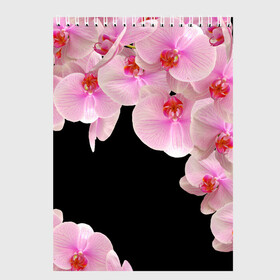 Скетчбук с принтом Орхидеи в ночи в Курске, 100% бумага
 | 48 листов, плотность листов — 100 г/м2, плотность картонной обложки — 250 г/м2. Листы скреплены сверху удобной пружинной спиралью | азия | бабочки | бутоны | ветки | девушкам | джунгли | женщинам | лепестки | летний | лето | листья | любовь | март | орхидеи | орхидея | подарок | природа | растения | розовыецветы | сад | тропика