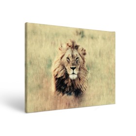 Холст прямоугольный с принтом Lion King в Курске, 100% ПВХ |  | animals | king | lion | африка | взгляд | голова | грива | дикие | животные | зверек | зверь | зодиак | клыки | король | кот | кошак | кошка | лапы | лев | лео | львенок | оскал | природа | саванна | симба | созвездие