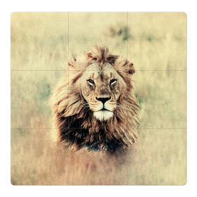Магнитный плакат 3Х3 с принтом Lion King в Курске, Полимерный материал с магнитным слоем | 9 деталей размером 9*9 см | Тематика изображения на принте: animals | king | lion | африка | взгляд | голова | грива | дикие | животные | зверек | зверь | зодиак | клыки | король | кот | кошак | кошка | лапы | лев | лео | львенок | оскал | природа | саванна | симба | созвездие