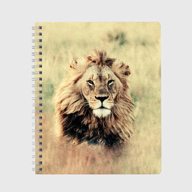 Тетрадь с принтом Lion King в Курске, 100% бумага | 48 листов, плотность листов — 60 г/м2, плотность картонной обложки — 250 г/м2. Листы скреплены сбоку удобной пружинной спиралью. Уголки страниц и обложки скругленные. Цвет линий — светло-серый
 | animals | king | lion | африка | взгляд | голова | грива | дикие | животные | зверек | зверь | зодиак | клыки | король | кот | кошак | кошка | лапы | лев | лео | львенок | оскал | природа | саванна | симба | созвездие