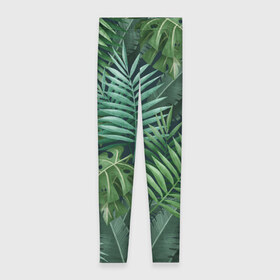 Леггинсы 3D с принтом Тропики в Курске, 80% полиэстер, 20% эластан | Эластичный пояс, зауженные к низу, низкая посадка | summer | банановая | банановые | джунгли | зелень | краски | летняя | лето | листики | листы | листья | надпись | настроение | отдых | отпуск | пальма | пальмовые | пальмы | папоротник | пляжная | позитив