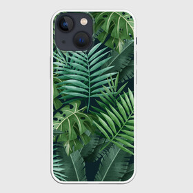 Чехол для iPhone 13 mini с принтом Тропики в Курске,  |  | summer | банановая | банановые | джунгли | зелень | краски | летняя | лето | листики | листы | листья | надпись | настроение | отдых | отпуск | пальма | пальмовые | пальмы | папоротник | пляжная | позитив