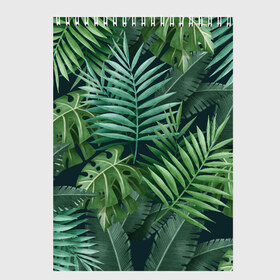 Скетчбук с принтом Тропики в Курске, 100% бумага
 | 48 листов, плотность листов — 100 г/м2, плотность картонной обложки — 250 г/м2. Листы скреплены сверху удобной пружинной спиралью | summer | банановая | банановые | джунгли | зелень | краски | летняя | лето | листики | листы | листья | надпись | настроение | отдых | отпуск | пальма | пальмовые | пальмы | папоротник | пляжная | позитив