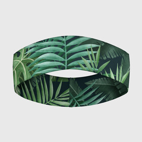 Повязка на голову 3D с принтом Тропики в Курске,  |  | summer | банановая | банановые | джунгли | зелень | краски | летняя | лето | листики | листы | листья | надпись | настроение | отдых | отпуск | пальма | пальмовые | пальмы | папоротник | пляжная | позитив