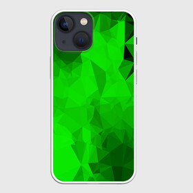 Чехол для iPhone 13 mini с принтом GREEN в Курске,  |  | abstract | abstraction | color | fractal | geometry | paitnt | polygon | polygonal | psy | абстракция | геометрия | краски | неоновые | полигоны | психоделика | фрактал