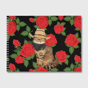 Альбом для рисования с принтом Мачо Котик Ковбой в Курске, 100% бумага
 | матовая бумага, плотность 200 мг. | cat | cats | kitten | mem | memes | rose | roses | глаза | глазки | киска | кот | котёнок | котик | котики | котэ | котята | кошак | кошка | кошки | красивая | мем | мемчики | милая | прикольная | роза | розы | светлая | темная