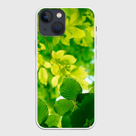 Чехол для iPhone 13 mini с принтом Листья. в Курске,  |  | abstract | brand | geometry | sport | texture | абстракция | бренд | геометрия | классика | летние | минимализм | модные | популярные иллюстрации | прикольные картинки | спорт | стиль | стильные | текстура