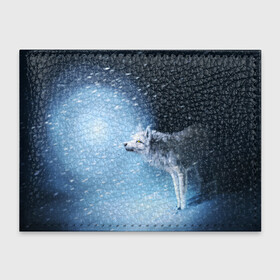 Обложка для студенческого билета с принтом ВОЛК ЗИМА(D) в Курске, натуральная кожа | Размер: 11*8 см; Печать на всей внешней стороне | Тематика изображения на принте: wolf | волк | волки | волчица | животные | одинокий волк