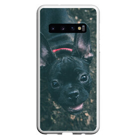 Чехол для Samsung Galaxy S10 с принтом Бульдог морда собакена черного в Курске, Силикон | Область печати: задняя сторона чехла, без боковых панелей | Тематика изображения на принте: бульдог | гав | глаза | любимец | любителю животных | ошейник | пес | песель | песик | питомец | псина | псинка | собака | собакен | собачка | собачник | уши | черный | язык