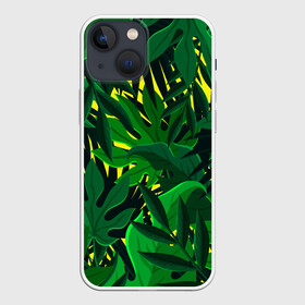 Чехол для iPhone 13 mini с принтом В джунглях в Курске,  |  | nature | summer | азия | бали | бамбук | деревья | джунгли | жара | зелень | кусты | лес | летний | лето | листья | море | острова | отдых | отпуск | пальмы | папоротник | пляж | природа | растения | солнце
