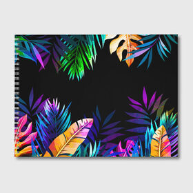 Альбом для рисования с принтом Тропическая Ночь в Курске, 100% бумага
 | матовая бумага, плотность 200 мг. | nature | summer | азия | бали | бамбук | деревья | джунгли | жара | зелень | кусты | лес | летний | лето | листья | море | острова | отдых | отпуск | пальмы | папоротник | пляж | природа | растения | солнце
