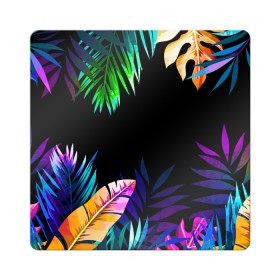 Магнит виниловый Квадрат с принтом Тропическая Ночь в Курске, полимерный материал с магнитным слоем | размер 9*9 см, закругленные углы | Тематика изображения на принте: nature | summer | азия | бали | бамбук | деревья | джунгли | жара | зелень | кусты | лес | летний | лето | листья | море | острова | отдых | отпуск | пальмы | папоротник | пляж | природа | растения | солнце