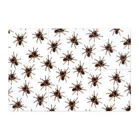 Магнитный плакат 3Х2 с принтом В пауках в Курске, Полимерный материал с магнитным слоем | 6 деталей размером 9*9 см | Тематика изображения на принте: pattern | spider | джунгли | дикие | животные | жуки | звери | лапы | мерзкие | монстр | насекомые | паттерн | паук | пауки | паутина | паучок | птицеед | страшный | существа | тараканы | тарантул | тропики