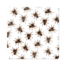 Магнит виниловый Квадрат с принтом В пауках в Курске, полимерный материал с магнитным слоем | размер 9*9 см, закругленные углы | pattern | spider | джунгли | дикие | животные | жуки | звери | лапы | мерзкие | монстр | насекомые | паттерн | паук | пауки | паутина | паучок | птицеед | страшный | существа | тараканы | тарантул | тропики