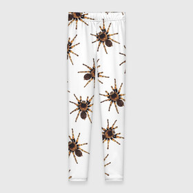 Леггинсы 3D с принтом В пауках в Курске, 80% полиэстер, 20% эластан | Эластичный пояс, зауженные к низу, низкая посадка | pattern | spider | джунгли | дикие | животные | жуки | звери | лапы | мерзкие | монстр | насекомые | паттерн | паук | пауки | паутина | паучок | птицеед | страшный | существа | тараканы | тарантул | тропики