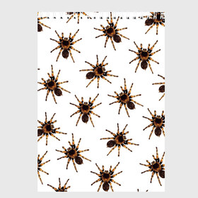 Скетчбук с принтом В пауках в Курске, 100% бумага
 | 48 листов, плотность листов — 100 г/м2, плотность картонной обложки — 250 г/м2. Листы скреплены сверху удобной пружинной спиралью | pattern | spider | джунгли | дикие | животные | жуки | звери | лапы | мерзкие | монстр | насекомые | паттерн | паук | пауки | паутина | паучок | птицеед | страшный | существа | тараканы | тарантул | тропики