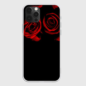 Чехол для iPhone 12 Pro Max с принтом Готика в Курске, Силикон |  | black | flowers | red | rose | rozario | vampire | алые | бутоны | вампир | винтаж | готический | красныерозы | кровь | лепестки | летний | лето | ночь | природа | растения | роза | розочка | розы | рок | темный | узор