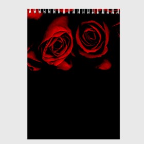 Скетчбук с принтом Готика в Курске, 100% бумага
 | 48 листов, плотность листов — 100 г/м2, плотность картонной обложки — 250 г/м2. Листы скреплены сверху удобной пружинной спиралью | black | flowers | red | rose | rozario | vampire | алые | бутоны | вампир | винтаж | готический | красныерозы | кровь | лепестки | летний | лето | ночь | природа | растения | роза | розочка | розы | рок | темный | узор