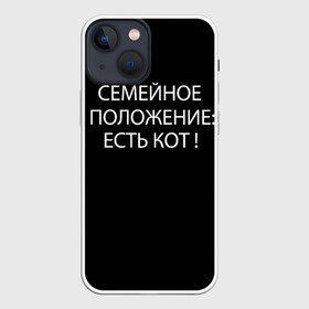 Чехол для iPhone 13 mini с принтом Есть кот в Курске,  |  | да | есть кот | замуж | кот | котейка | котик | котэ | мем | мяу | настроение | не хочу | нет | пора жениться | прикол | свадьба | сватовство | семейное положение | хочу