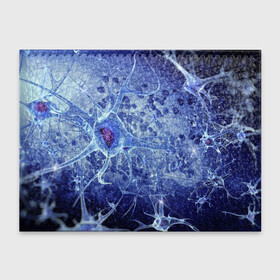 Обложка для студенческого билета с принтом ВИРУС в Курске, натуральная кожа | Размер: 11*8 см; Печать на всей внешней стороне | Тематика изображения на принте: abstract | abstraction | абстракция | днк | нейроны | психоделика