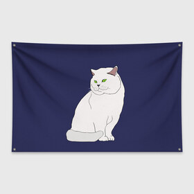 Флаг-баннер с принтом Белый британский котик в Курске, 100% полиэстер | размер 67 х 109 см, плотность ткани — 95 г/м2; по краям флага есть четыре люверса для крепления | cat | cute | kitten | meow | британец | британский | взгляд | друзья | животные | зверек | зверюшки | каваи | киска | котенок | котик | коты | котята | кошак | кошечки | кошки | лапы | милые | мордочка | мяу | няшные
