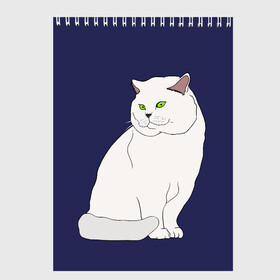 Скетчбук с принтом Белый британский котик в Курске, 100% бумага
 | 48 листов, плотность листов — 100 г/м2, плотность картонной обложки — 250 г/м2. Листы скреплены сверху удобной пружинной спиралью | cat | cute | kitten | meow | британец | британский | взгляд | друзья | животные | зверек | зверюшки | каваи | киска | котенок | котик | коты | котята | кошак | кошечки | кошки | лапы | милые | мордочка | мяу | няшные