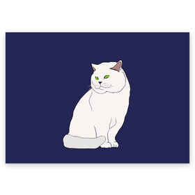 Поздравительная открытка с принтом Белый британский котик в Курске, 100% бумага | плотность бумаги 280 г/м2, матовая, на обратной стороне линовка и место для марки
 | cat | cute | kitten | meow | британец | британский | взгляд | друзья | животные | зверек | зверюшки | каваи | киска | котенок | котик | коты | котята | кошак | кошечки | кошки | лапы | милые | мордочка | мяу | няшные
