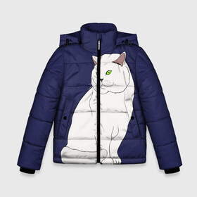 Зимняя куртка для мальчиков 3D с принтом Белый британский котик в Курске, ткань верха — 100% полиэстер; подклад — 100% полиэстер, утеплитель — 100% полиэстер | длина ниже бедра, удлиненная спинка, воротник стойка и отстегивающийся капюшон. Есть боковые карманы с листочкой на кнопках, утяжки по низу изделия и внутренний карман на молнии. 

Предусмотрены светоотражающий принт на спинке, радужный светоотражающий элемент на пуллере молнии и на резинке для утяжки | Тематика изображения на принте: cat | cute | kitten | meow | британец | британский | взгляд | друзья | животные | зверек | зверюшки | каваи | киска | котенок | котик | коты | котята | кошак | кошечки | кошки | лапы | милые | мордочка | мяу | няшные