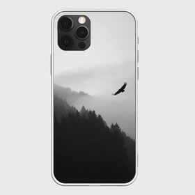 Чехол для iPhone 12 Pro Max с принтом ОРЁЛ НАД ЛЕСОМ в Курске, Силикон |  | bird | dark | fog | forest | heaven | jh k | ktc | sky | texture | деревья | животные | лес | небо | орел | природа | птица | птицы | текстуры | тёмный лес | туман