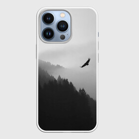 Чехол для iPhone 13 Pro с принтом ОРЁЛ НАД ЛЕСОМ в Курске,  |  | bird | dark | fog | forest | heaven | jh k | ktc | sky | texture | деревья | животные | лес | небо | орел | природа | птица | птицы | текстуры | тёмный лес | туман