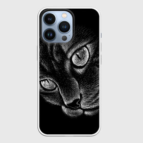 Чехол для iPhone 13 Pro с принтом Волшебный кот в Курске,  |  | black | cat | eyes | kitten | kitty | pussy | pussycat | взгляд | глаз | глаза | кот | кота | котенок | коты | котят | котята | котячьи | кошачьи | кошка | кошки | мордочка | нос | носик | с котом | усатый | усики | усища | усищи | че
