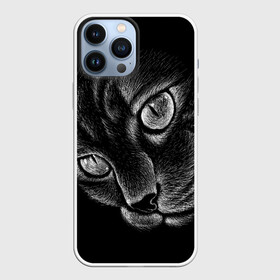 Чехол для iPhone 13 Pro Max с принтом Волшебный кот в Курске,  |  | black | cat | eyes | kitten | kitty | pussy | pussycat | взгляд | глаз | глаза | кот | кота | котенок | коты | котят | котята | котячьи | кошачьи | кошка | кошки | мордочка | нос | носик | с котом | усатый | усики | усища | усищи | че