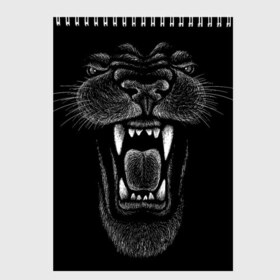 Скетчбук с принтом Черная пантера в Курске, 100% бумага
 | 48 листов, плотность листов — 100 г/м2, плотность картонной обложки — 250 г/м2. Листы скреплены сверху удобной пружинной спиралью | big | black | cat | danger | jungle | king | leopard | panter | panther | picture | большая | большой | джунглей | джунгли | зубы | король | кот | кошка | леопард | мелками | опасная | опасный | охотник | пантера | пасть | рисунок | хищник | 